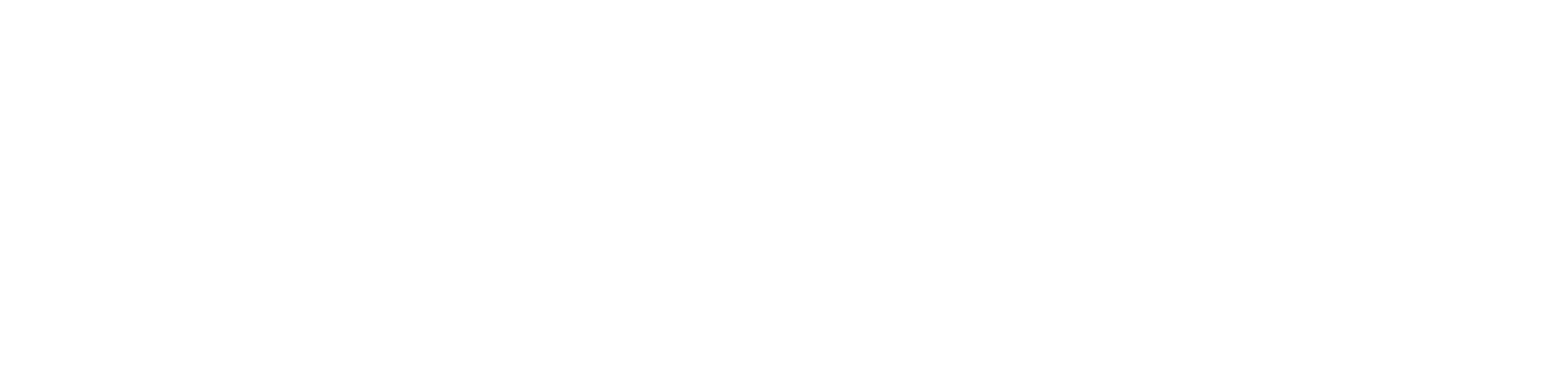 Perfil Municipal